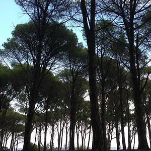 Séjour à la ferme Cavalli Di S'arcaite, Santa Lucia (Sardinia)